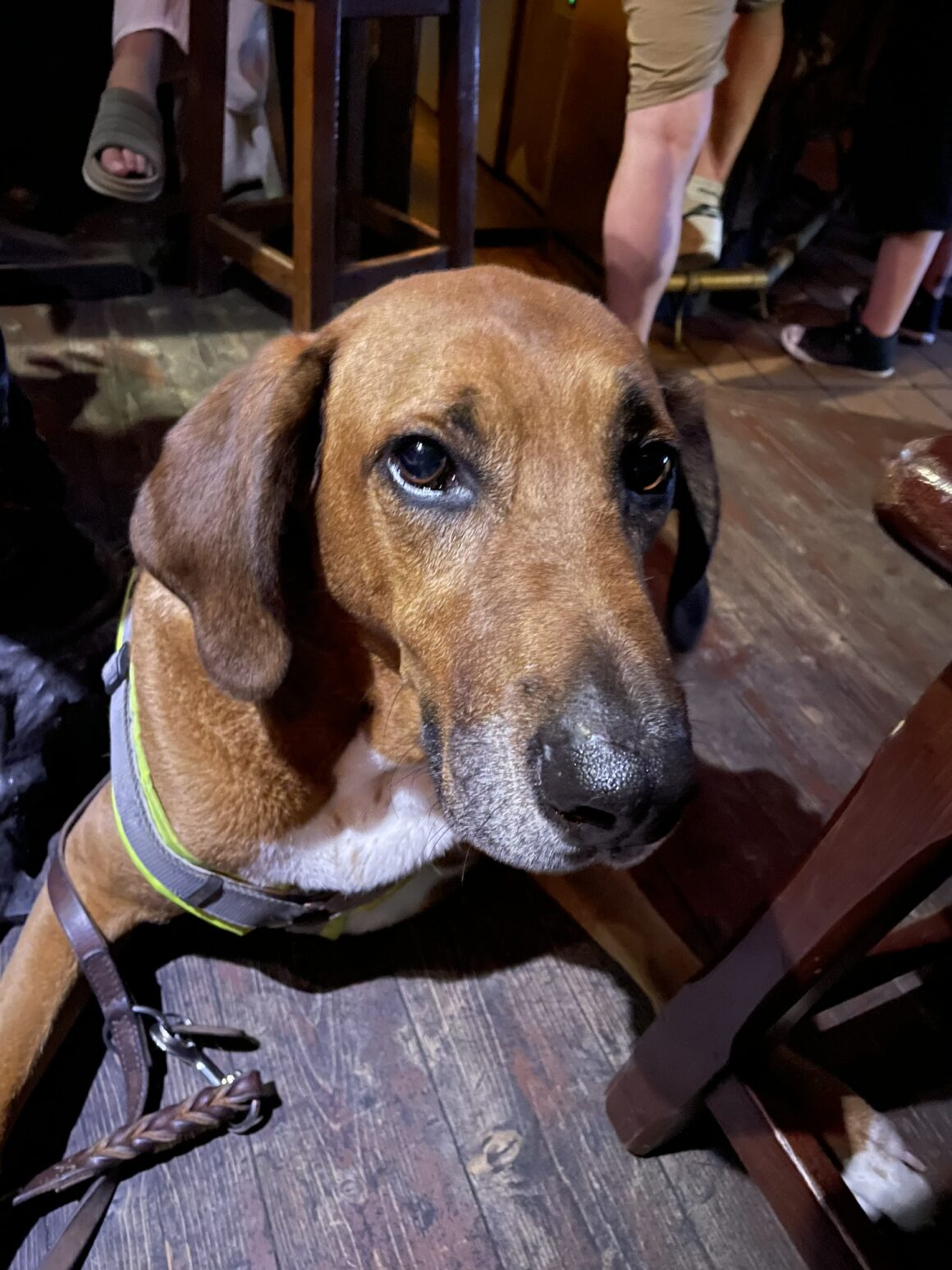 Making friends at a local Irish pub in Europe โ building a social circle on a working holiday