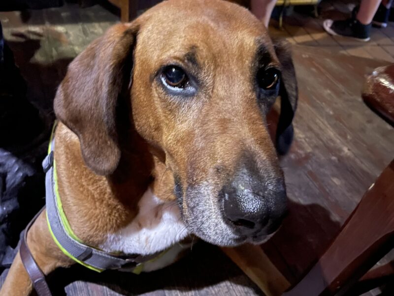 Making friends at my local Irish pub