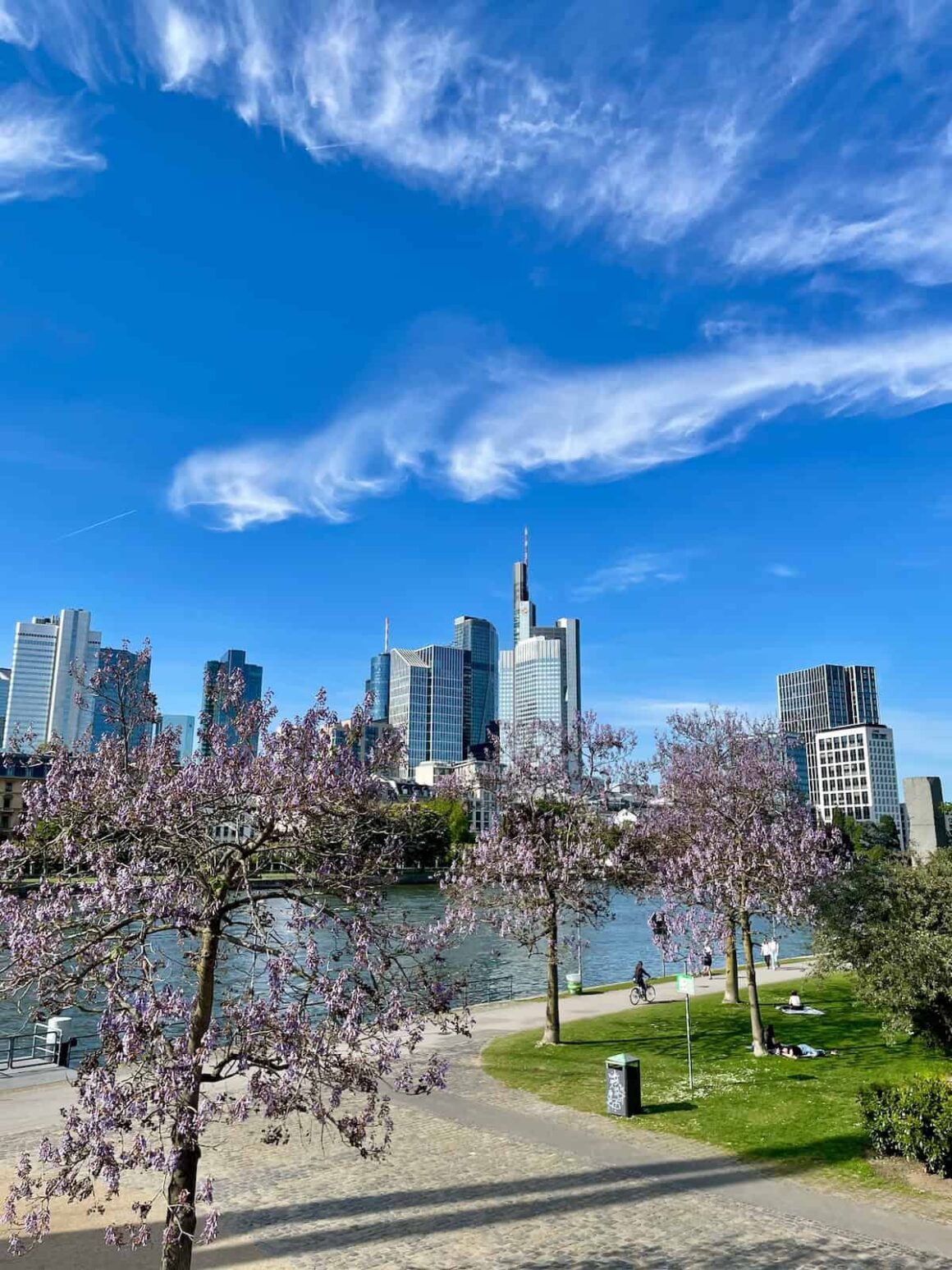 Spring blooms in Frankfurt am Main, Germany — April and May bring colour back to Western European cities