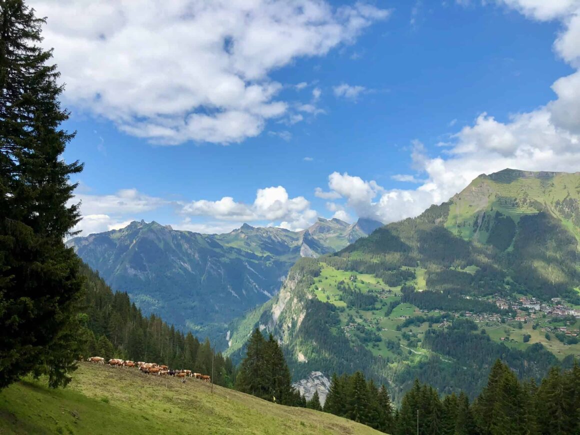 View of the Swiss Alps town of Wengen and the mountain peak Männlichen from the train connecting Grütschalp and Mürren